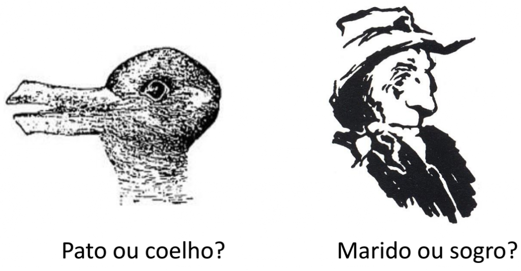 Figuras Amb guas E Neuroci ncias Por Que Nossa Percep o Muda Diante figuras-amb-guas-e-neuroci-ncias-por-que-nossa-percep-o-muda-diante